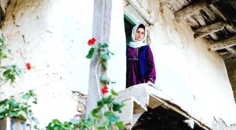 Through the Olive Trees