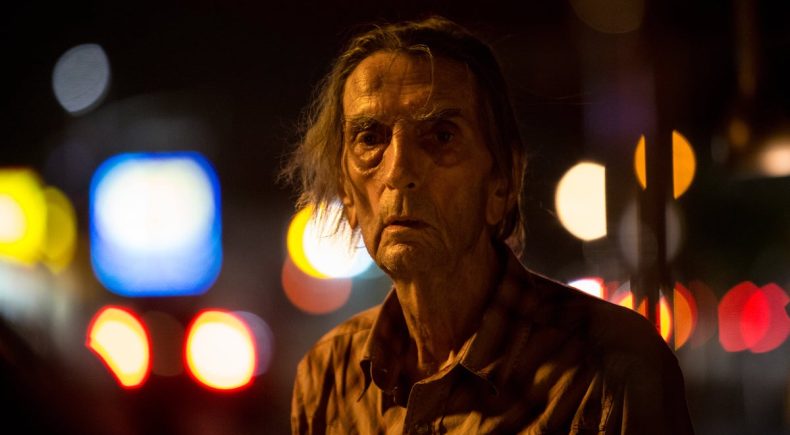 Lucky: Nihayetinde Saksıya Dikilmiş Bir Kaktüsün Gidebileceği Herhangi 1 Yer Yoktur 1 Lucky 2017 2